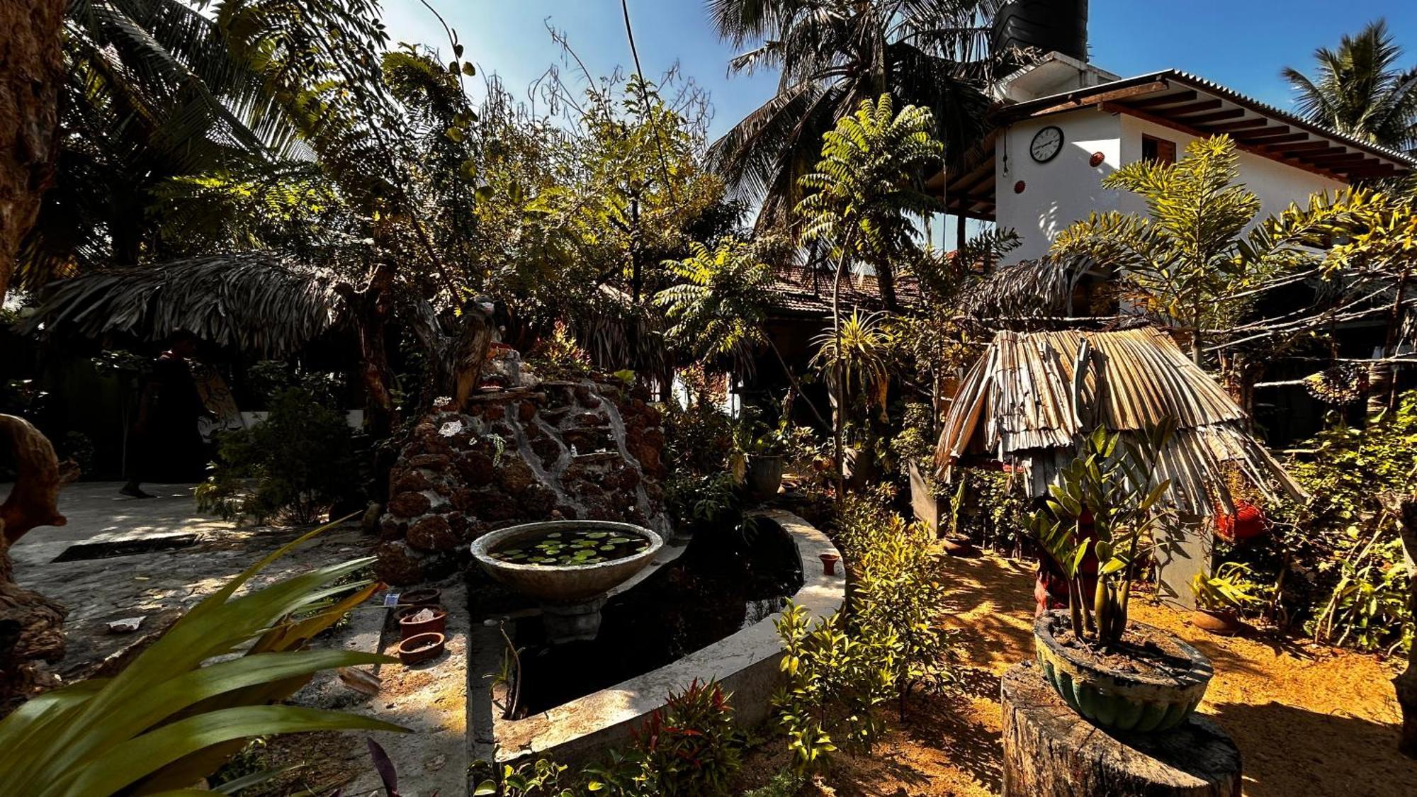 Hakuna Matata Arugambay Arugam Bay Exteriér fotografie