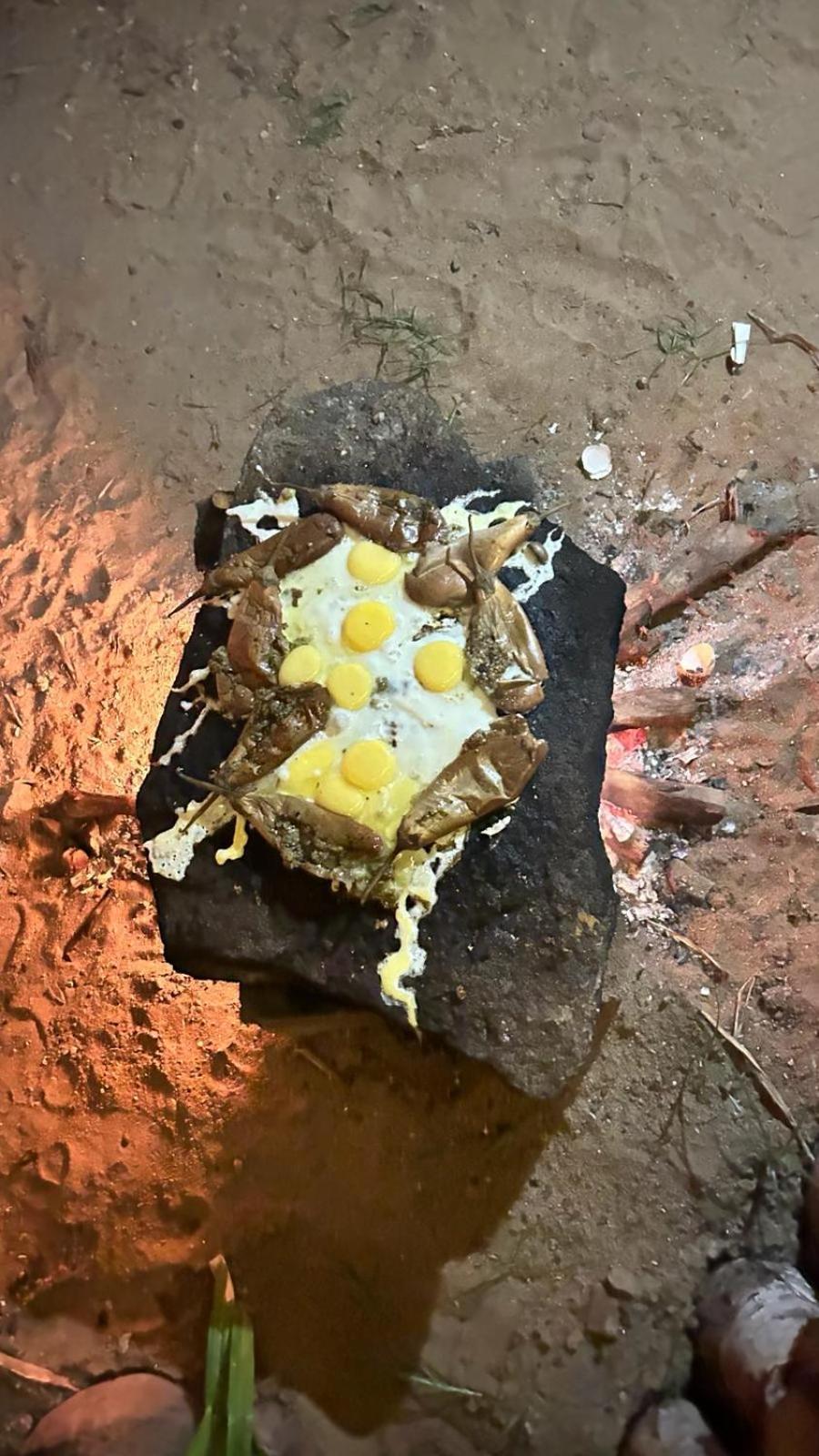 Hakuna Matata Arugambay Arugam Bay Exteriér fotografie